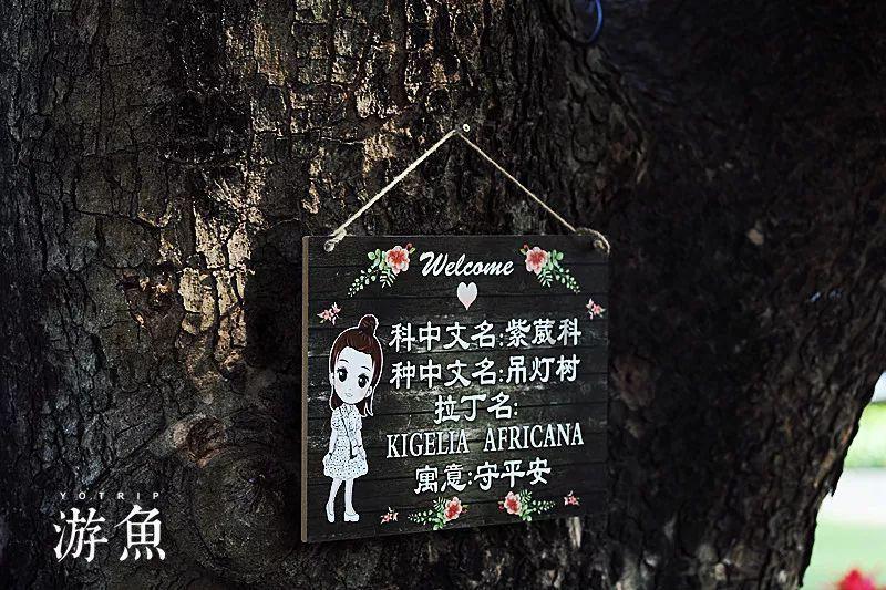 如约而至