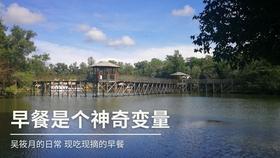 奔跑的兔子